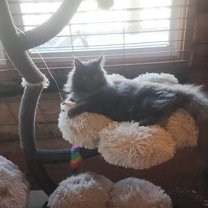 Patti hat ein Foto des gekauften Artikels hinzugefügt