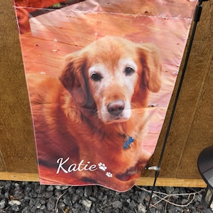 SUE added a photo of their purchase
