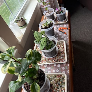 Joan added a photo of their purchase