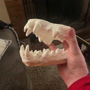 Huge Spotted Hyena Jaws Teeth Fur Suit Fursuit Costume Crafts Mask