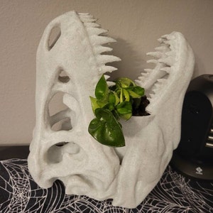 Allie added a photo of their purchase