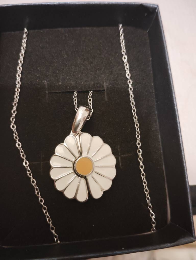 Personalisierte Daisy-Medaillon-Halskette mit versteckter Botschaft – Personalisierbares Geschenk für Sie, Geschenk für die Gottesmutter, winzige Senfsamen, christliche Geschenke für Sie