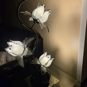 Maria added a photo of their purchase