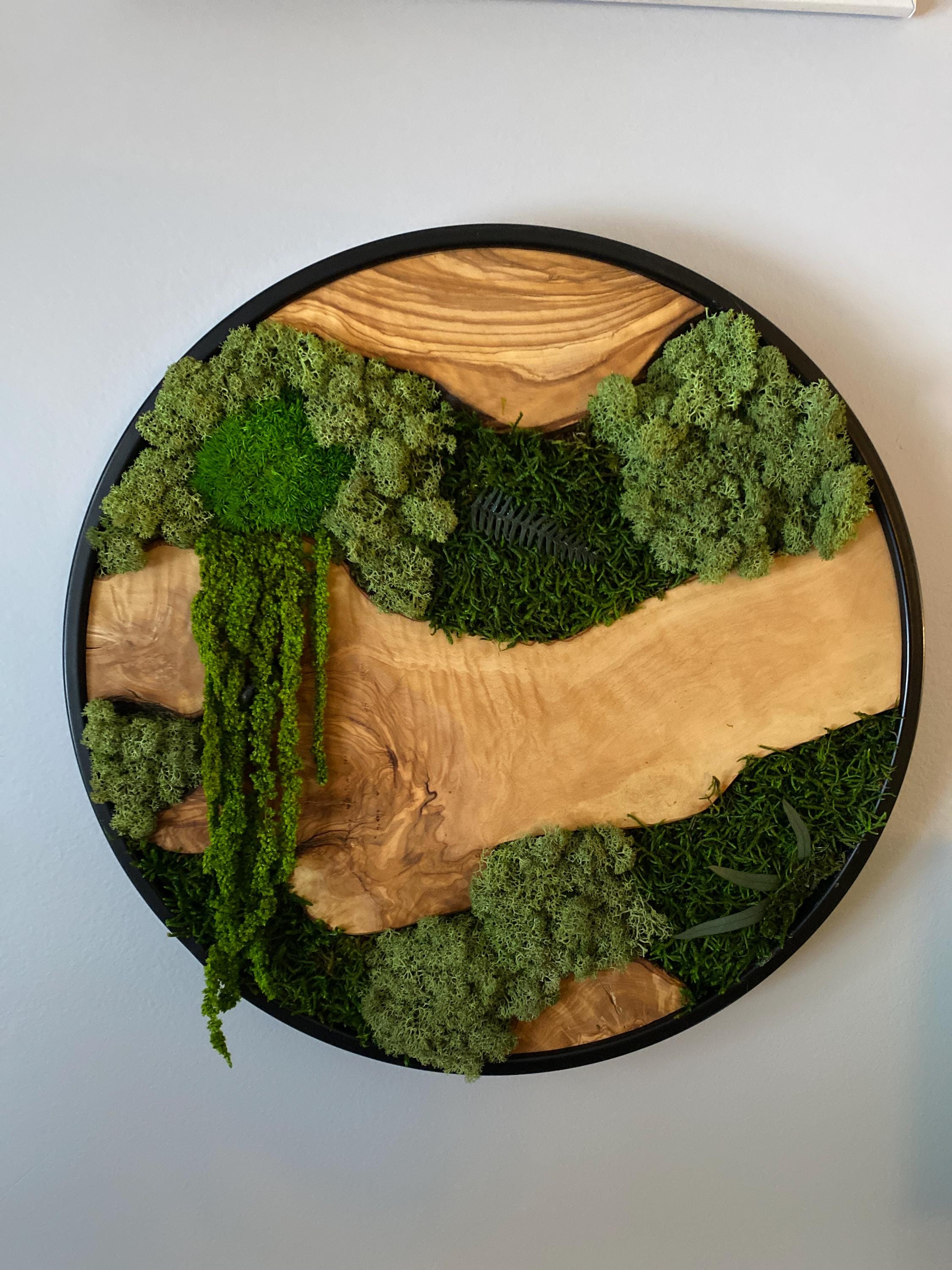 Custom Made Moss and Olive Wood Wall Art, Metal Frame Moss Wall Decor, Olive Wood and Moss Wall Art- Preserved Stabilized Moss Wall Decor