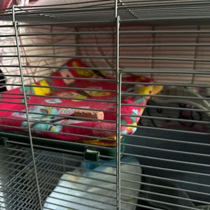 ilisa added a photo of their purchase