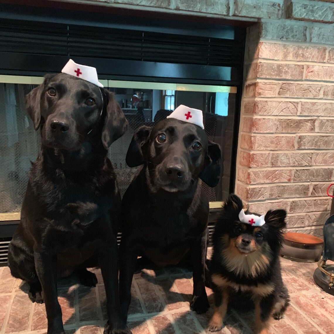 Customer photo of a pet with the Nurse retro hat for small pet Cat Dog Hedgehog