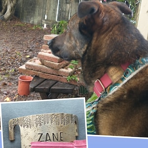 bandedJEM added a photo of their purchase