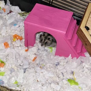 Steven added a photo of their purchase