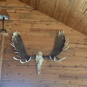 Candice added a photo of their purchase