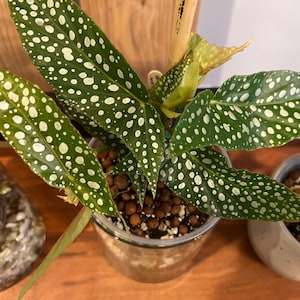 Melanie added a photo of their purchase