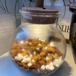 Charlotte a ajouté une photo de son achat