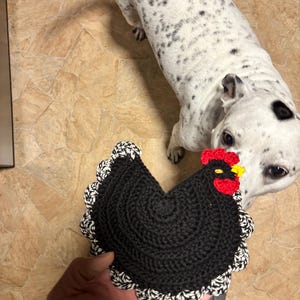 Kalvin adicionaram uma foto da sua compra