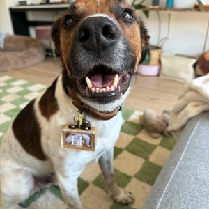 Anna added a photo of their purchase