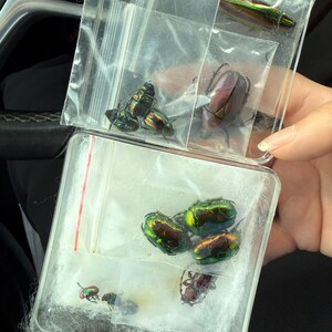 Vanessa added a photo of their purchase