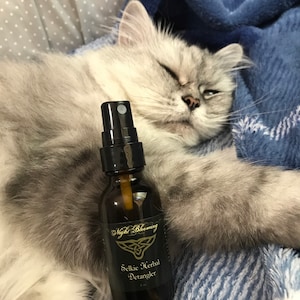 Meghan added a photo of their purchase