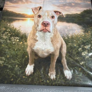 Pedro added a photo of their purchase
