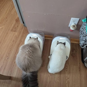 Angela added a photo of their purchase