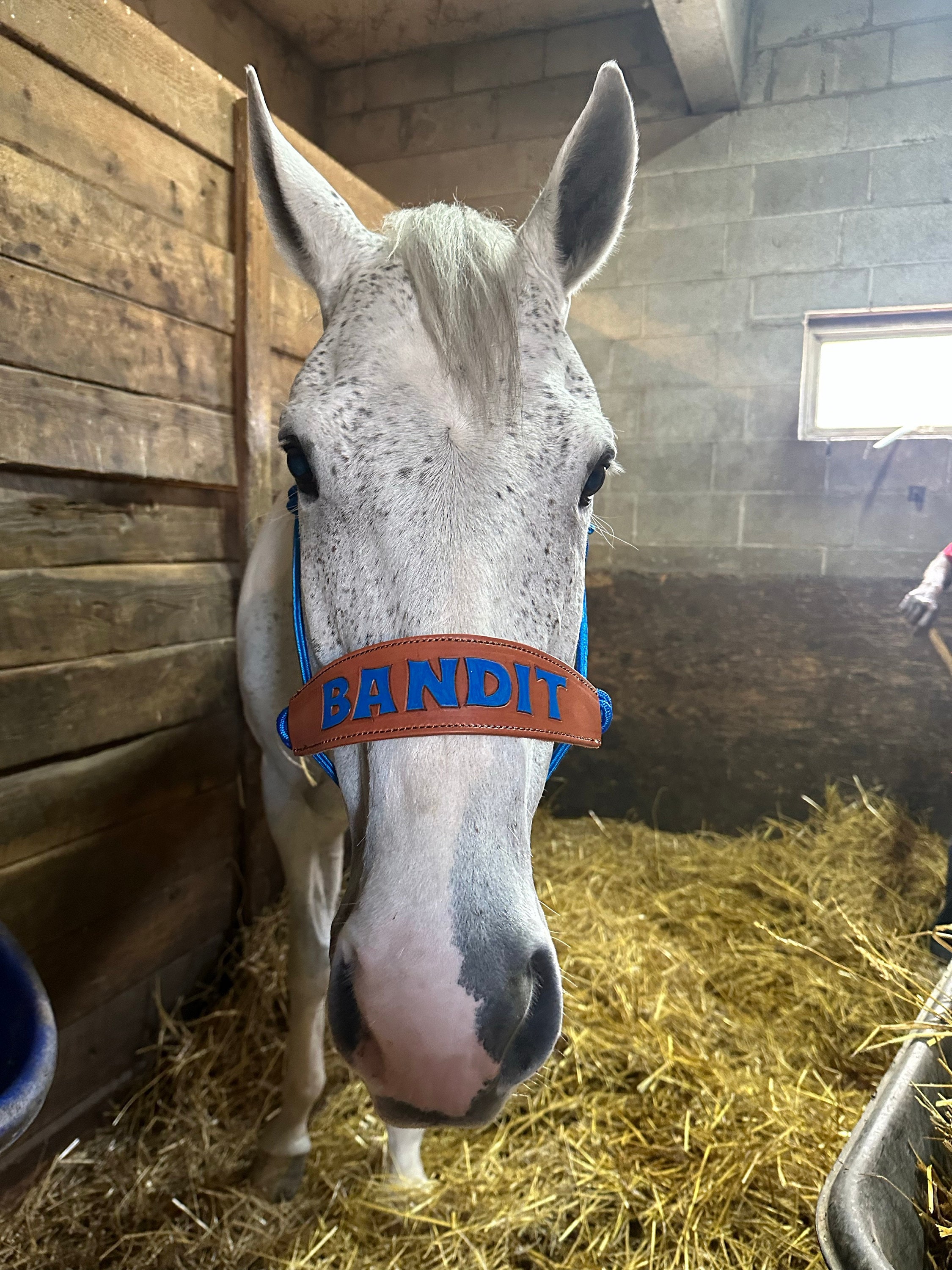 Skinny Bronc Poly Rope Halter