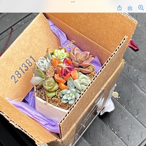 Julie added a photo of their purchase
