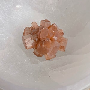 Laura Wang added a photo of their purchase