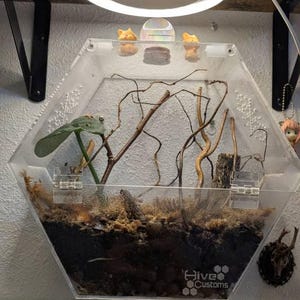 pottedfern added a photo of their purchase