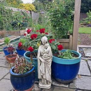 Lis added a photo of their purchase
