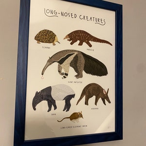 Huw ha añadido una foto de su compra