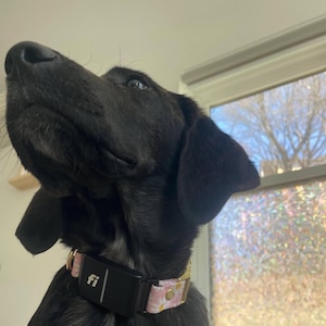 Katherine heeft een foto van zijn/haar aankoop toegevoegd