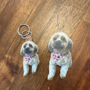 Kelly added a photo of their purchase