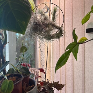 Janelle added a photo of their purchase