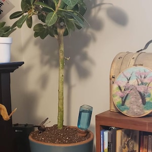 Etsy buyer added a photo of their purchase