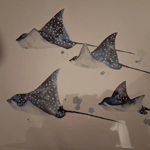 Laura added a photo of their purchase