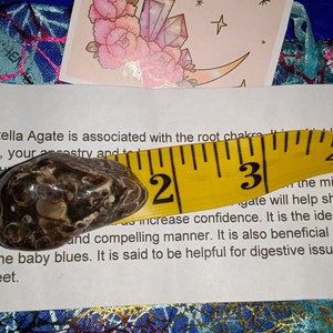 Jess added a photo of their purchase
