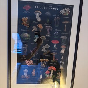 Laurynas added a photo of their purchase