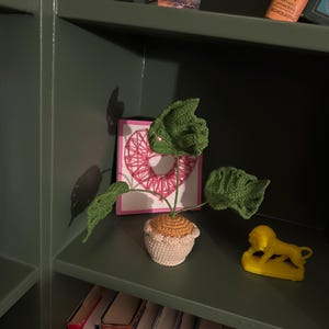 Kelly さんが購入した商品の写真を追加しました
