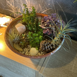 Lola added a photo of their purchase