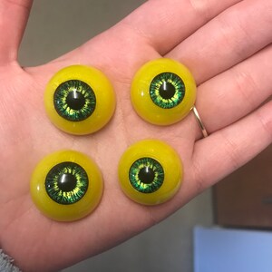 Jo added a photo of their purchase