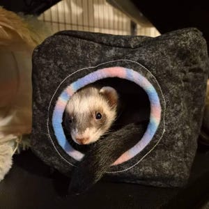 Savanna added a photo of their purchase
