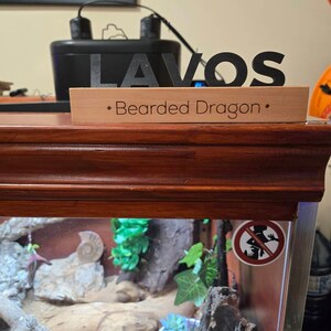 Dylan added a photo of their purchase