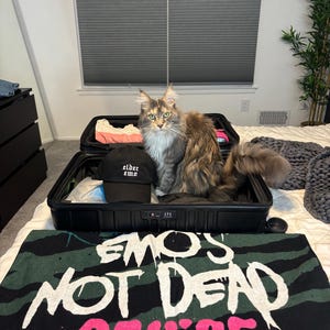 Dena added a photo of their purchase