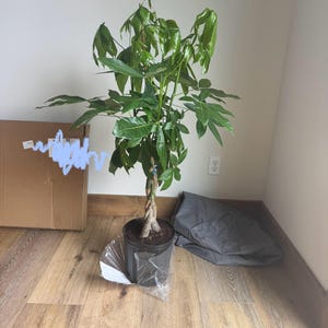 Sharyl ha añadido una foto de su compra