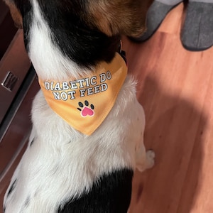 Becky hat ein Foto des gekauften Artikels hinzugefügt