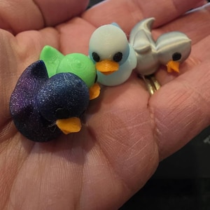 Camilla added a photo of their purchase