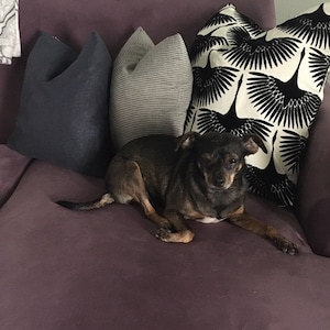 Suzette added a photo of their purchase