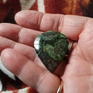 Sheila added a photo of their purchase