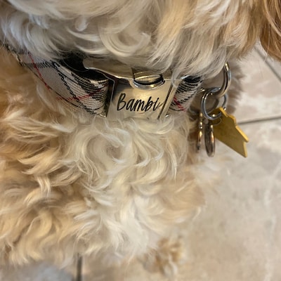 Custom Plaid Dog Collar Personalized Dog Collar Beige Plaid Dog Collar ...