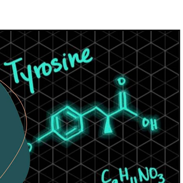 Hexagonal Paper for Organic Chemistry student Note Taking Printable