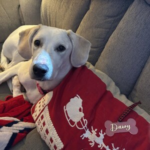 Comprador de Etsy ha añadido una foto de su compra