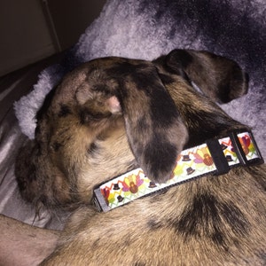Emily added a photo of their purchase