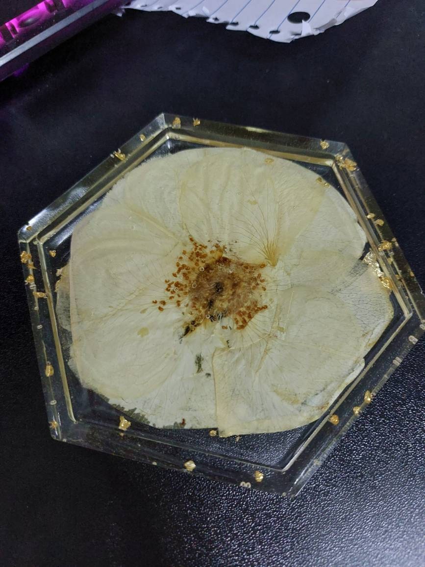 Preserved flowers from Gabriela's etsy review
